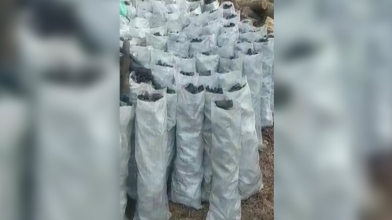 Qəbələdə qanunsuz kömür istehsal edənlər aşkarlanıblar