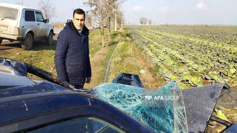 Bərdədə avtomobil atı vurub - FOTO