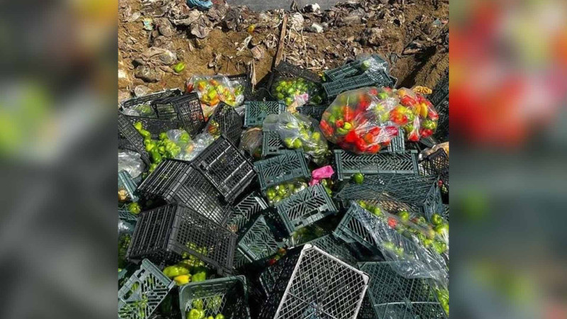 İrandan gətirilən bibər və portağalda virus aşkarlanıb