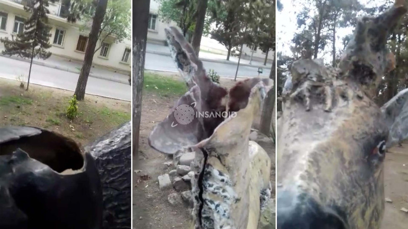 Mingəçevirdəki parkı yararsız hala salan kimlərdir?