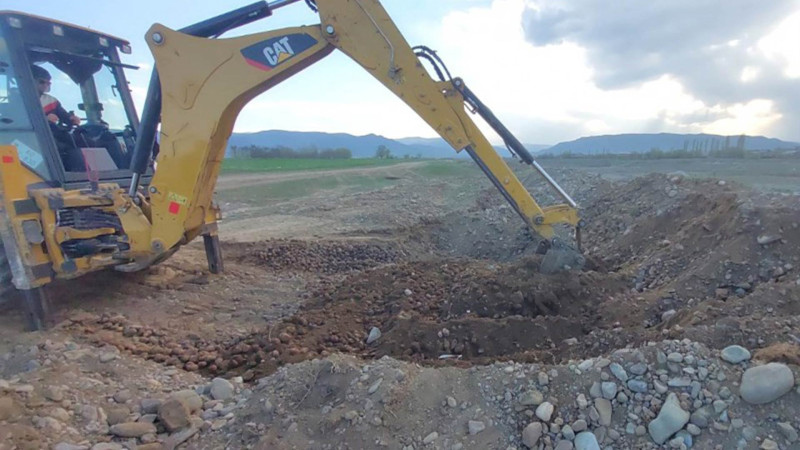 Gürcüstandan Azərbaycana gətirilən 24,5 ton kartof zərərvericilərə görə məhv edilib