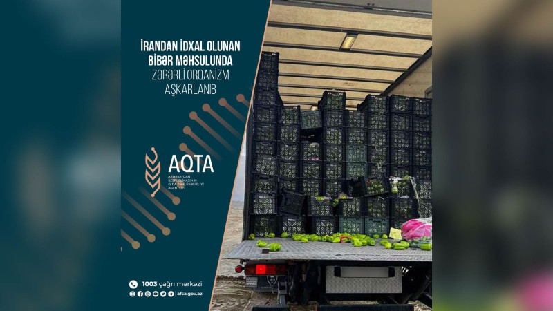 İrandan gətirilən bibərlərdə zərərli orqanizm aşkarlanıb