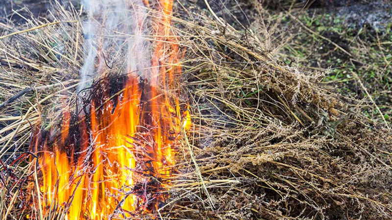 Ucarda alov 27 ot bağlamasını kül etdi