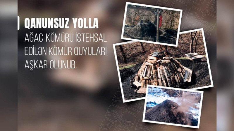 Qəbələ və Göygöldə qanunsuz kömür quyuları tapılıb