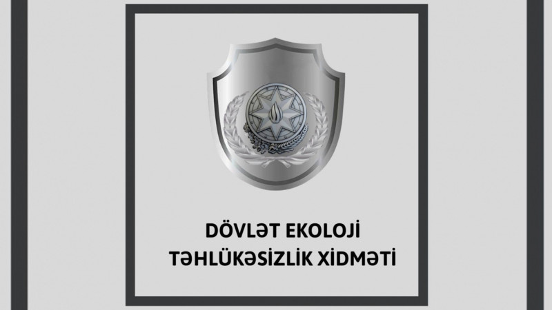 Qəbələdə qanunsuz kəsilən ağaclarla bağlı araşdırma aparılır