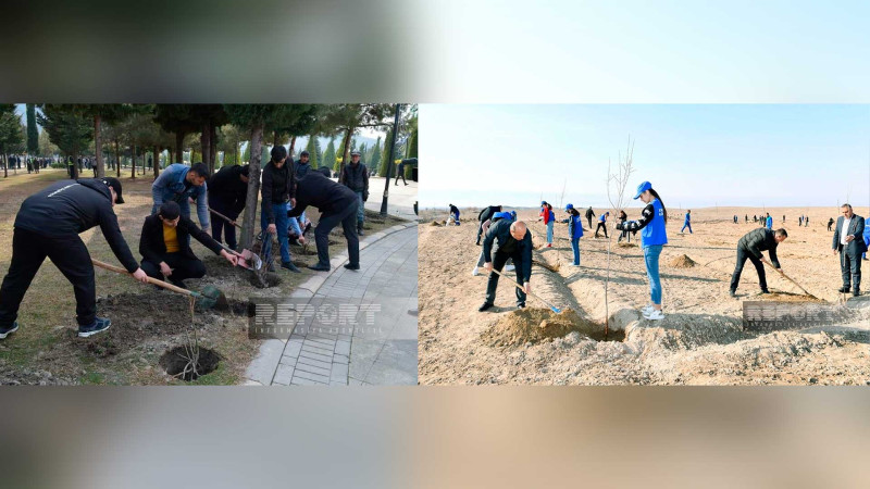 Balakən və Naxçıvanda Heydər Əliyevin 100 illiyinə həsr olunmuş ağacəkmə aksiyaları keçirilib