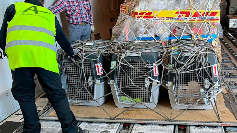 ABŞ Azərbaycana daha 5 minaaxtaran it verib