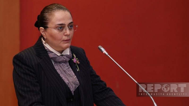 Mədəniyyət nazirinə müavin təyin edilib