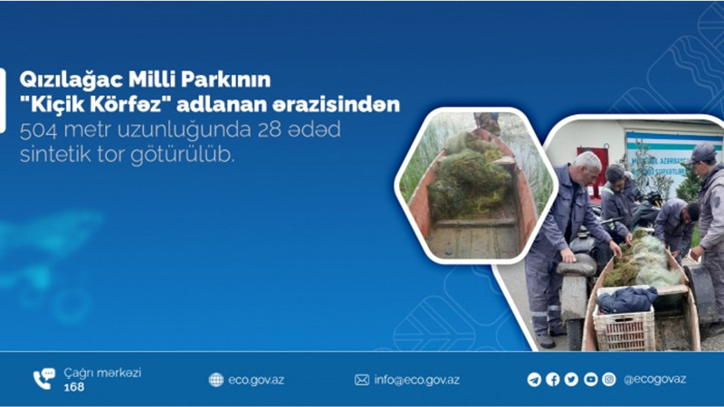 Qızılağac Milli Parkından 28 ədəd sintetik tor götürülüb
