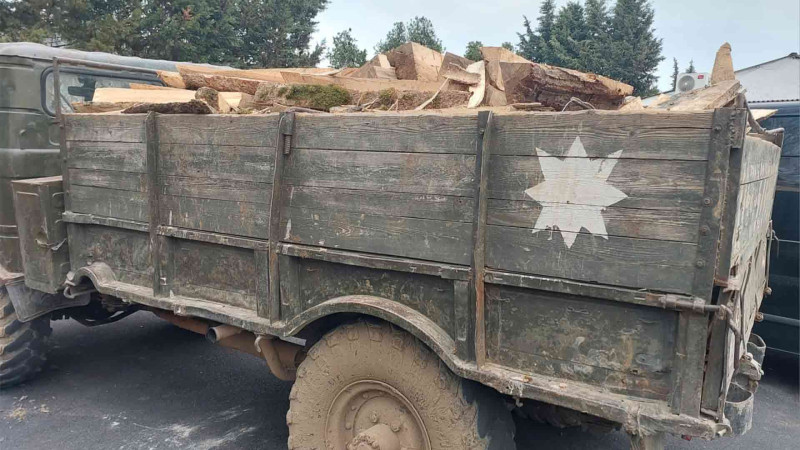 “Qırmızı kitab”a daxil edilmiş bitkilərin kəsilərək daşındığı avtomobil saxlanılıb
