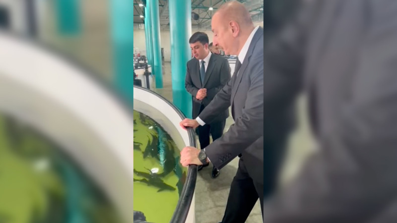 Mehriban Əliyeva Neftçaladan paylaşım edib