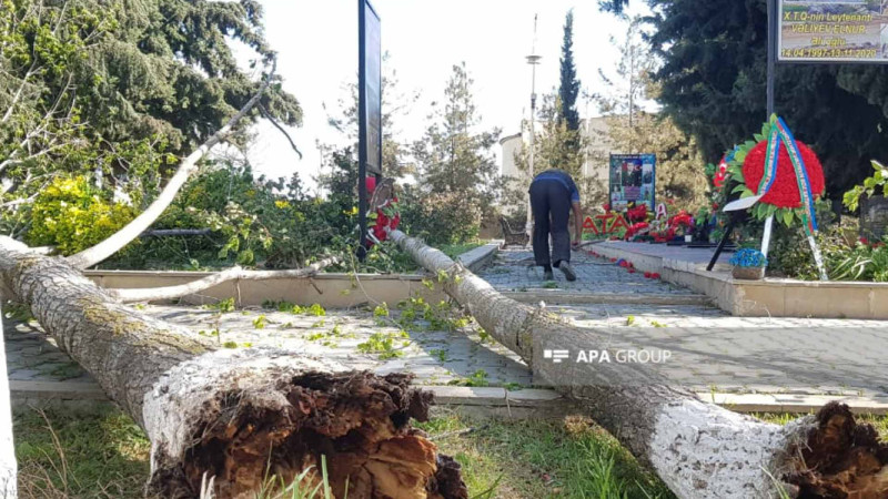 Ucarda güclü külək fəsadlar törədib