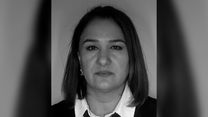 Naxçıvanda dəm qazından 46 yaşlı qadın ölüb
