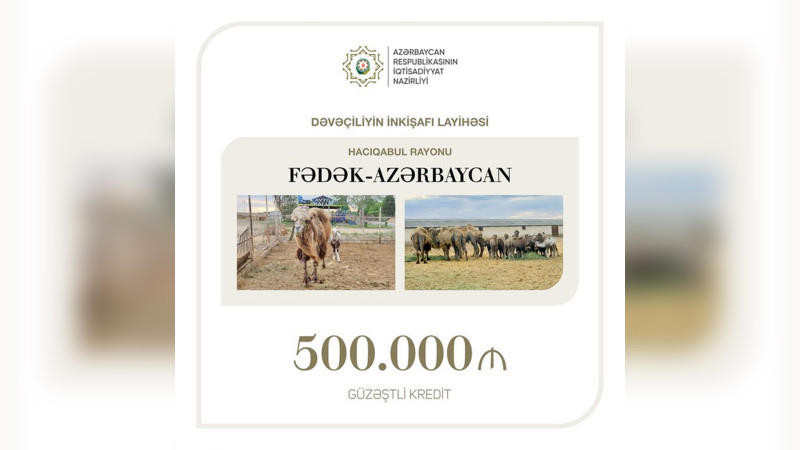 Azərbaycanda dəvəçiliyin inkişafına 0,5 milyon manat güzəştli kredit ayrılıb