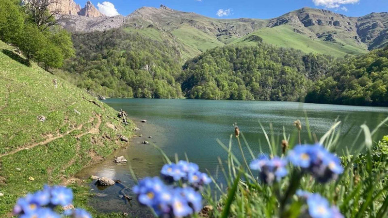 Ötən il Göygöl Milli Parkını 200 mindən çox turist ziyarət edib