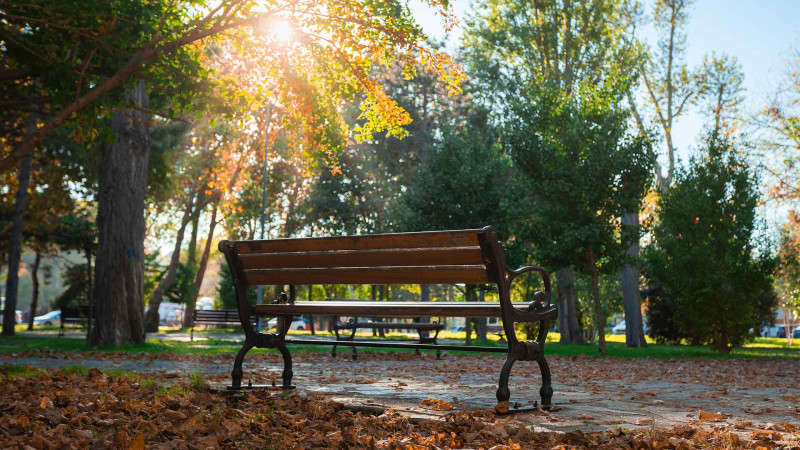 Xırdalanda parkdan 3 ədəd skamya oğurlanıb