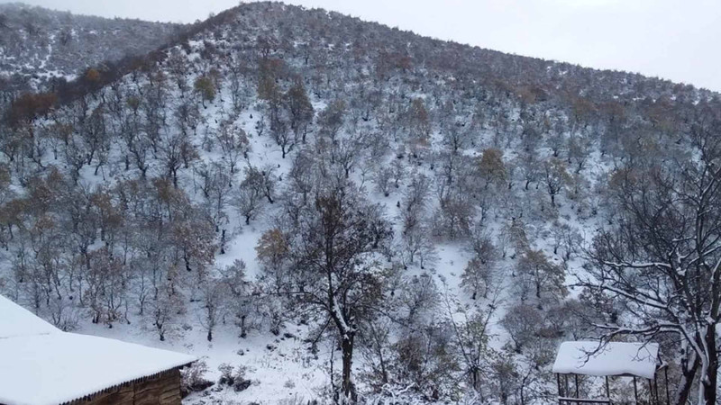 Azərbaycanın bu ərazilərinə qar yağıb - FAKTİKİ HAVA - YENİLƏNİB