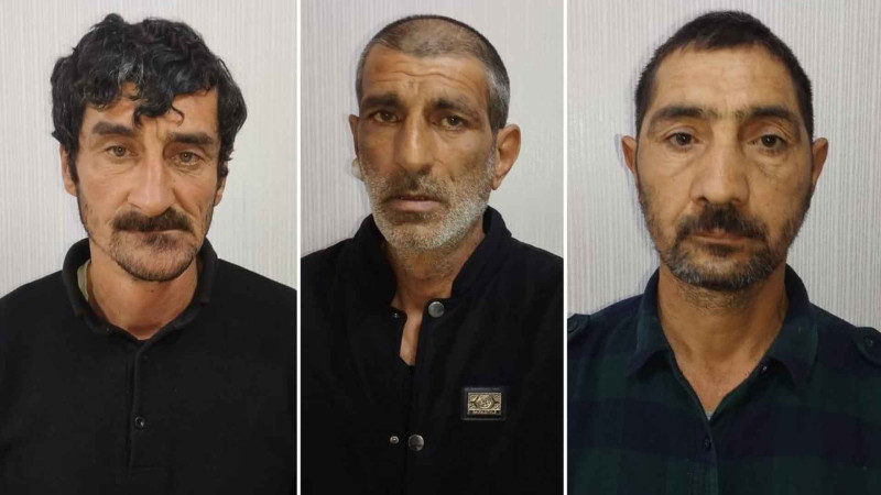Ucarda oğurluq edən dəstə saxlanılıb