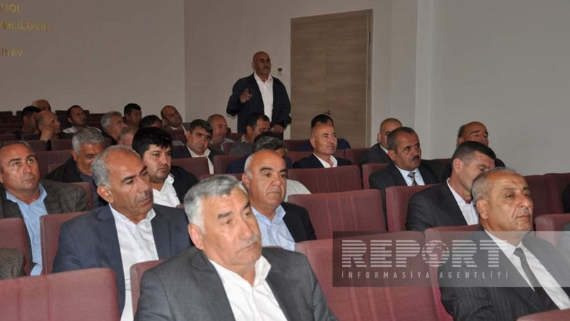 Biləsuvarda taxıl biçini başlanacaq