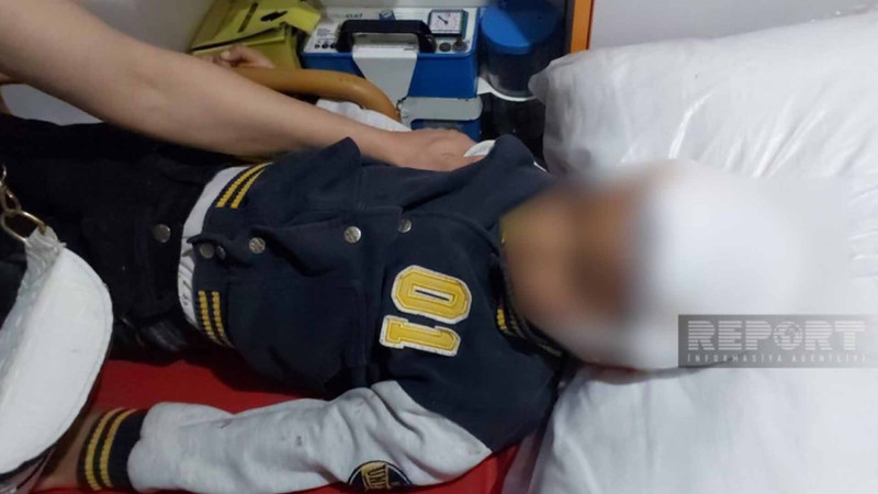 Masazırda 2 azyaşlını küçə itləri dişləyib