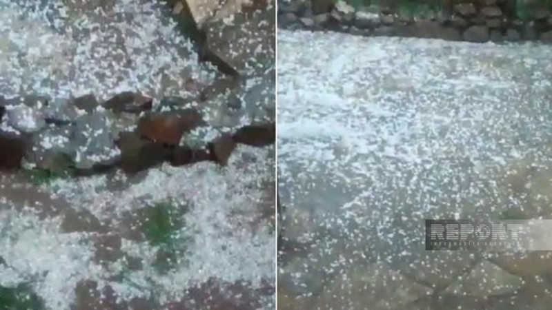 Şəmkirdə güclü dolu yağıb, təsərrüfata, meyvə bağlarına zərər dəyib