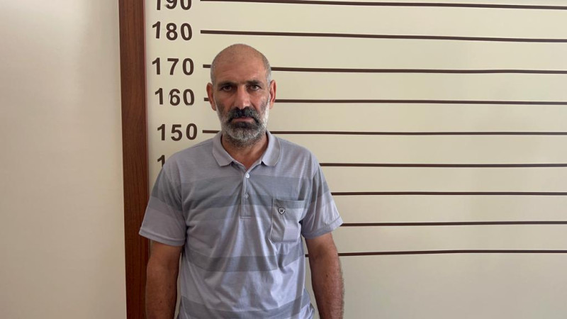 Qəbələ: həyətyanı sahəsində narkotik tərkibli bitkilər yetişdirən şəxs saxlanılıb