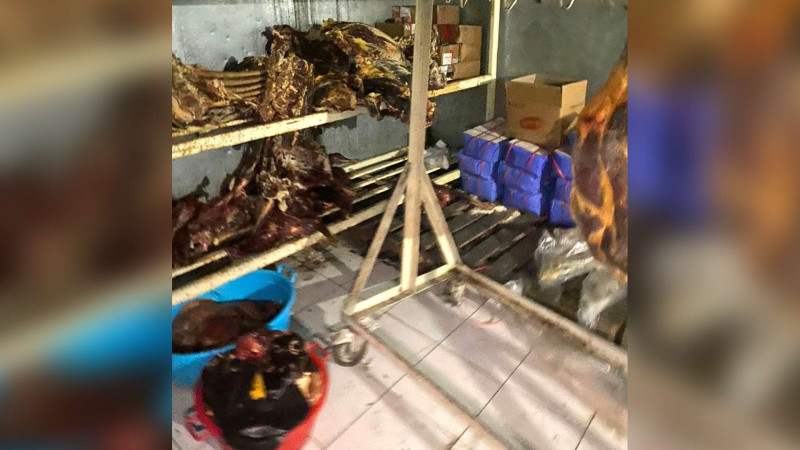 “Yeganə” şadlıq sarayında istehlaka yararsız məhsullar aşkarlanıb