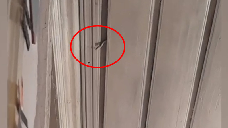 Qubada uşaq bağçasında ilanlar peyda olub