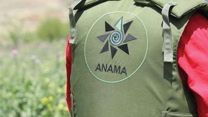Azad edilən ərazilərdə daha 30 mina aşkarlanıb