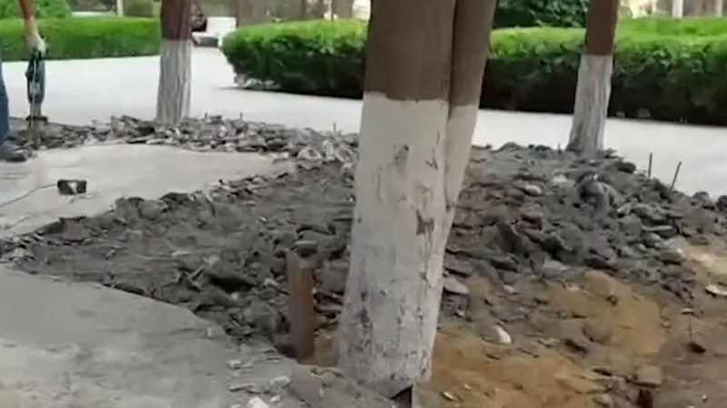 Sumqayıtda qanunsuz tikilinin qarşısı alınıb