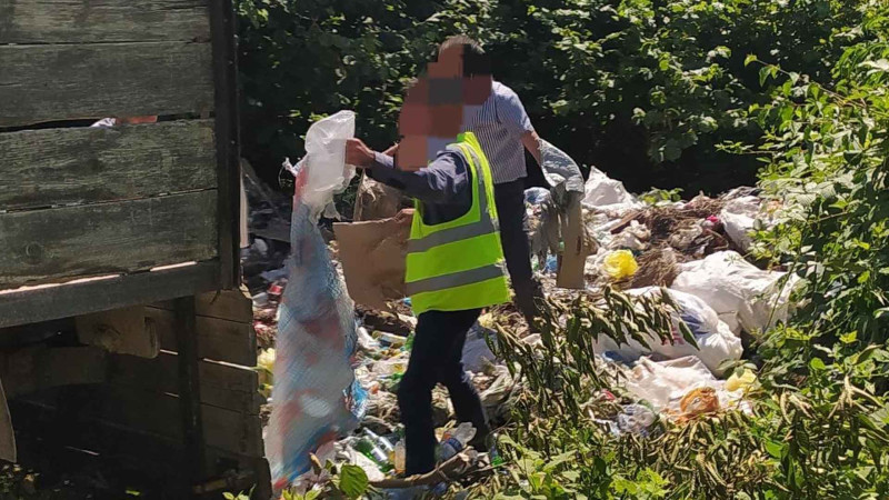 Zaqatala, Bərdə və Qubada ətraf mühitin mühafizə qaydaları pozulub