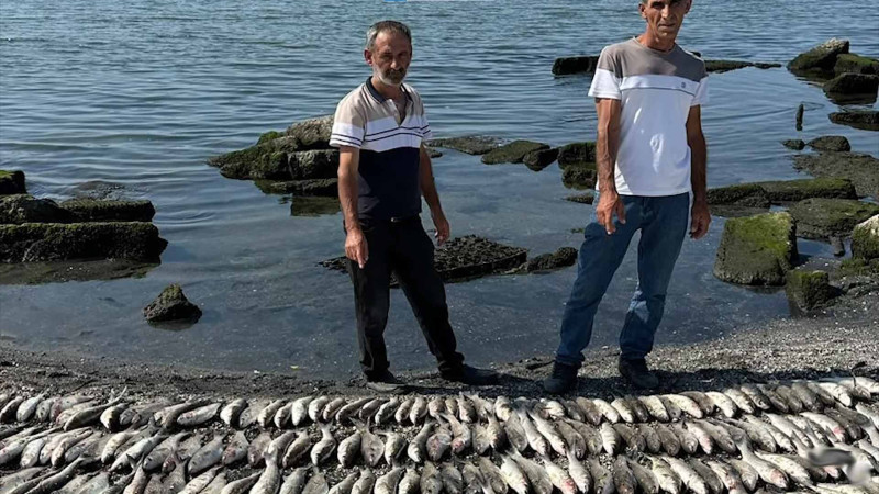 Qanunsuz balıq ovlayanlar cəzalandırılıblar