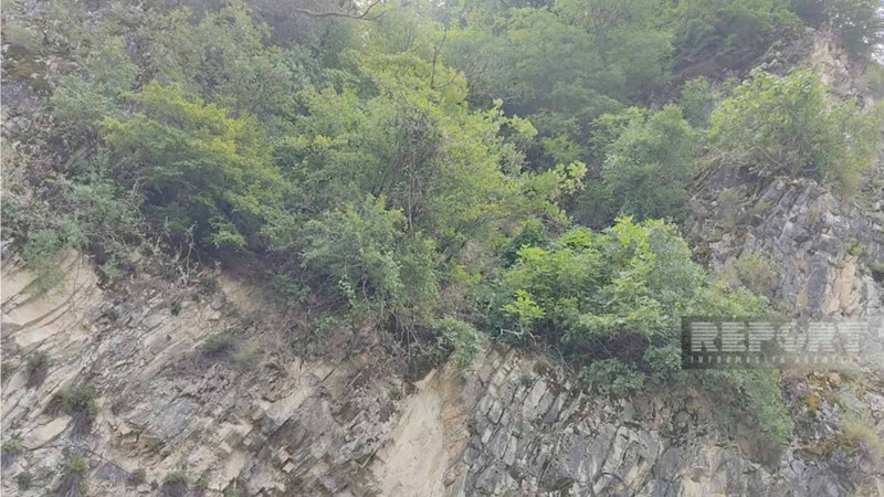 Zaqatalada itkin düşən yerli turistlər təxliyə ediliblər
