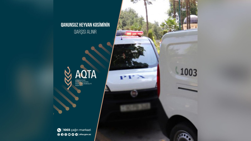Bakı, Qax və Şamaxıda qanunsuz heyvan kəsimi ilə məşğul olan məntəqələr cərimələnib