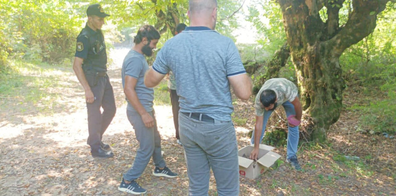 Zaqatalada satmaq məqsədilə kirpi ovlayanlar cərimələniblər