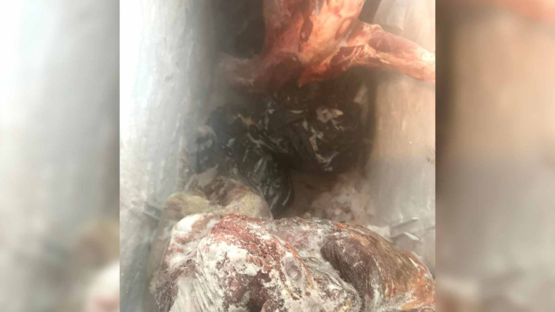 AQTA: Ağcabədidə istehlaka yararsız 150 kiloqram ət aşkarlanıb
