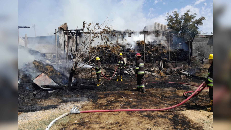 Naxçıvanda yanğın zamanı 15 baş heyvan tələf olub