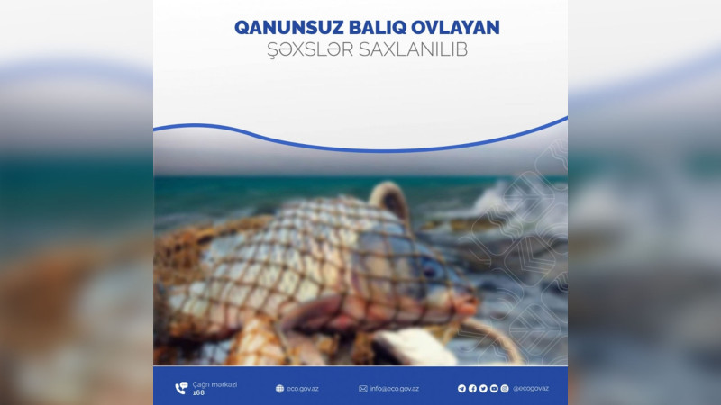 Şabranda su anbarında 10 nəfər saxlanılıb