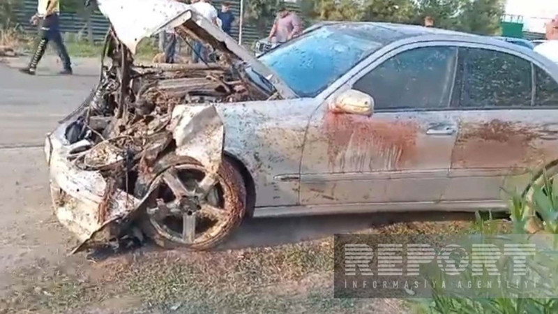 Cəlilabadda avtomobil qoyun sürüsünə çarpılıb - VİDEO