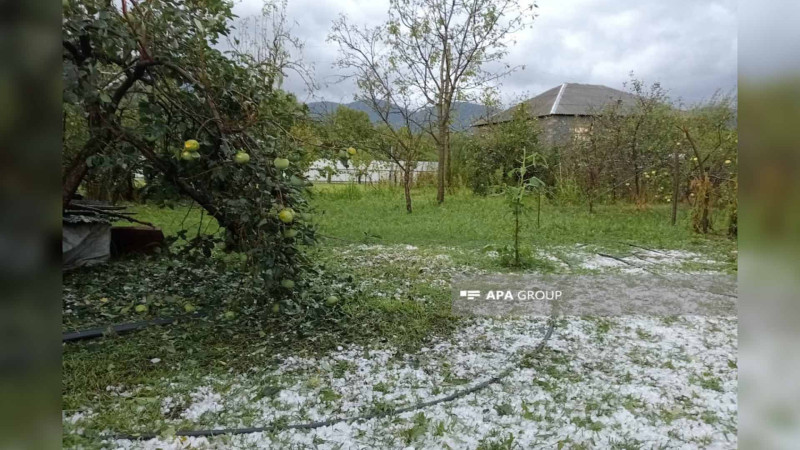 Zaqatala sakinləri işıqsız qalıb
