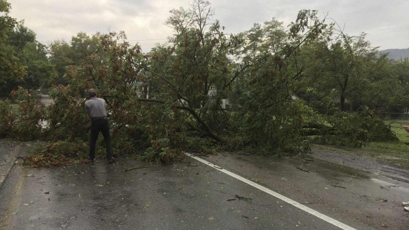 Qəbələdə sel suları rayonun yol infrastrukturuna ziyan vurub