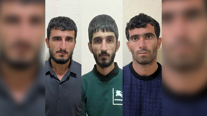 Qubada silsilə oğurluqlar edən dəstə üzvləri saxlanılıblar