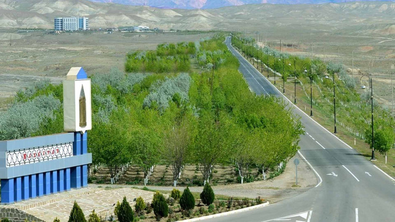 Naxçıvanın deputat direktoru işdən çıxarılıb