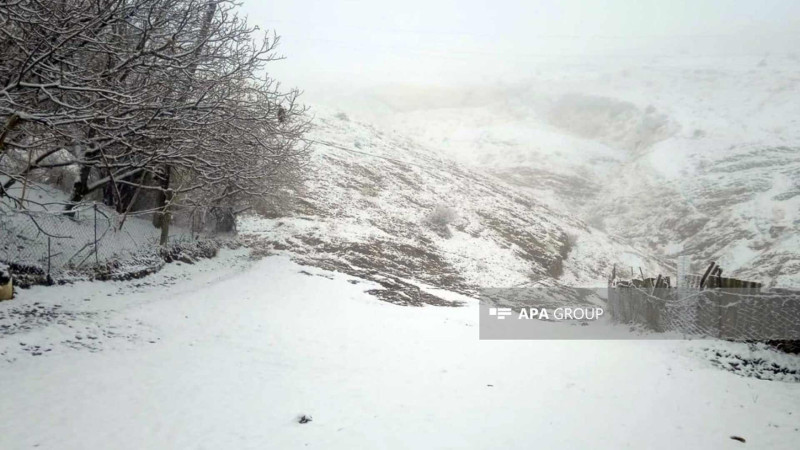 Naxçıvanda qar yağıb - FOTO