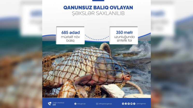 Təbiətə 7,5 min manatdan çox ziyan vuranlar saxlanılıblar