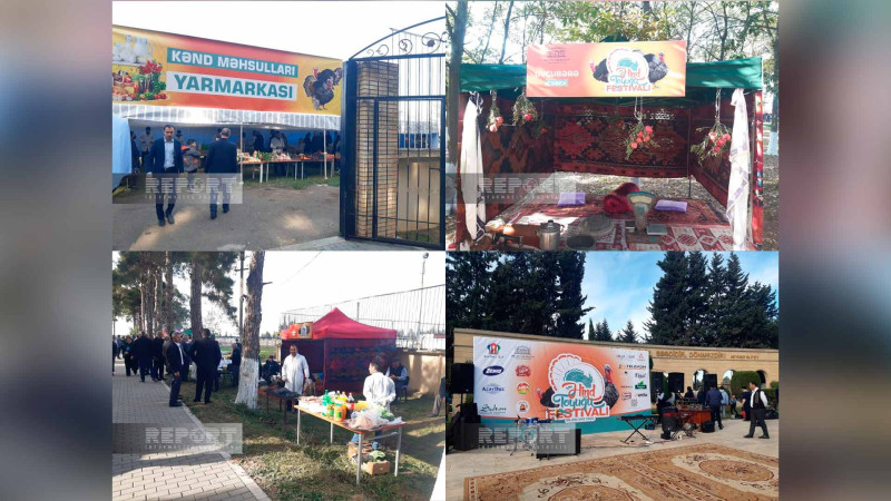 Biləsuvarda hinduşka festivalı keçirilir