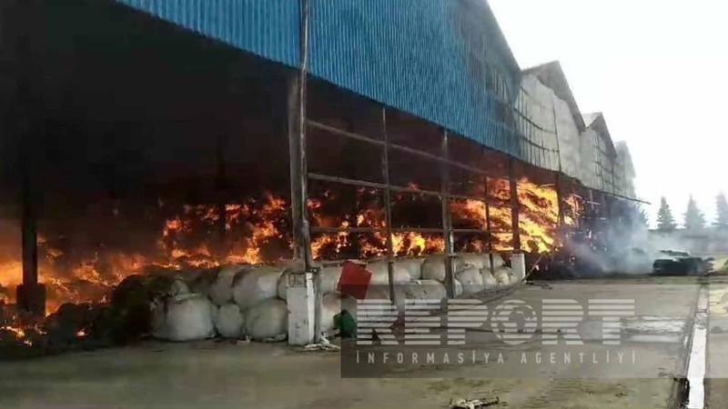 “Yalama Aqropark”da  yanğın olub