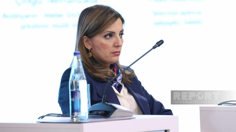 Azad olunan ərazilərdə monitorinq edilən abidələrin sayı açıqlanıb