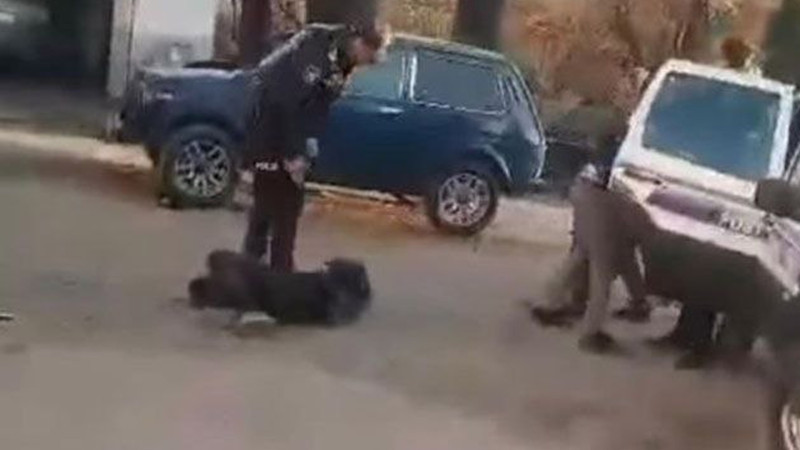Qəbələdə yeniyetməni döyən polis işdən çıxarılıb
