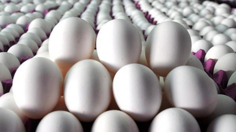 Azərbaycan Rusiyaya 4,2 milyon ədəd yumurta göndərib